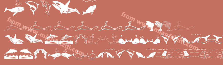 orcas
