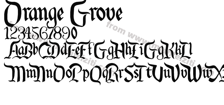 orange grove字体预览