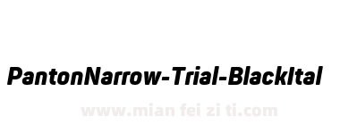 PantonNarrow-Trial-BlackItalic