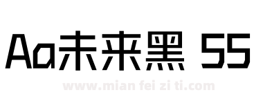 Aa未来黑 55