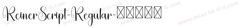ReinerScript-Regular字体转换