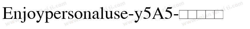 Enjoypersonaluse-y5A5字体转换