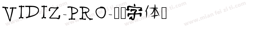 VIDIZ-PRO字体转换