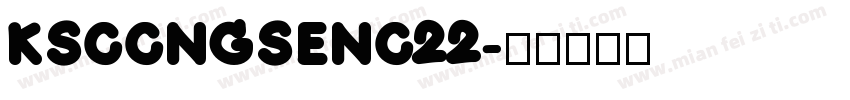 KSCCNGSENC22字体转换