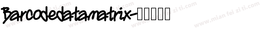 Barcodedatamatrix字体转换
