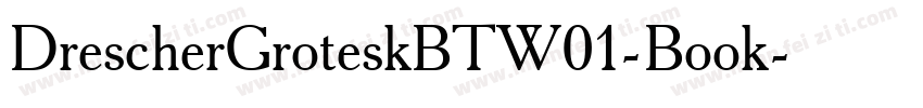DrescherGroteskBTW01-Book字体转换