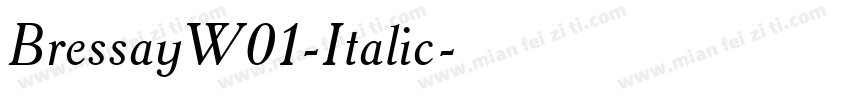 BressayW01-Italic字体转换