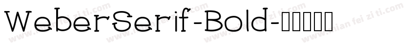 WeberSerif-Bold字体转换