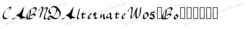 CABNDAlternateW05-Bo字体转换