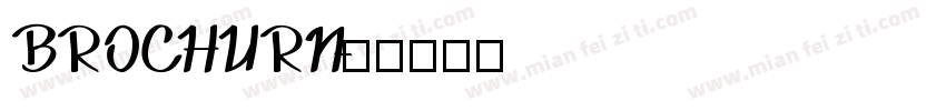 BROCHURN字体转换
