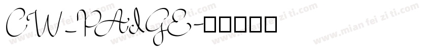 CW_PAIGE字体转换