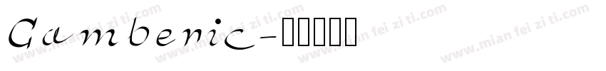 Camberic字体转换