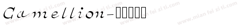 Camellion字体转换