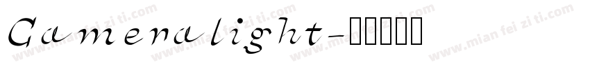 Cameralight字体转换