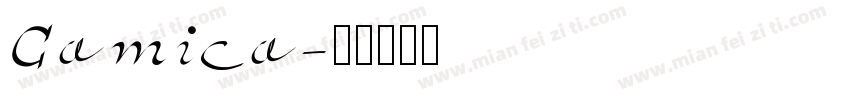 Camica字体转换
