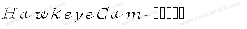 HawkeyeCam字体转换