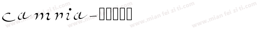 camria字体转换
