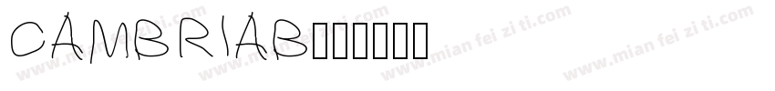 CAMBRIAB字体转换
