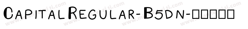 CapitalRegular-B5dn字体转换