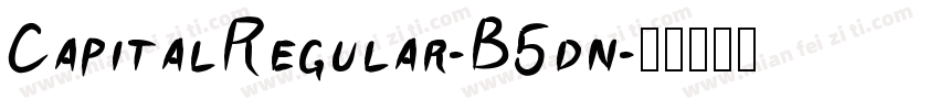 CapitalRegular-B5dn字体转换