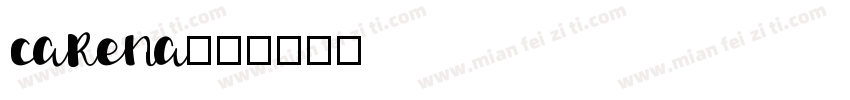 carena字体转换