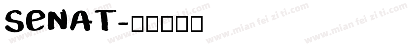 SENAT字体转换