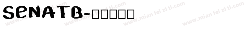 SENATB字体转换