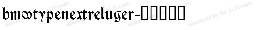bmwtypenextreluger字体转换
