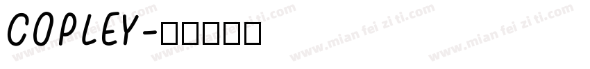 COPLEY字体转换