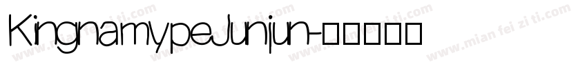 KingnamypeJunjun字体转换