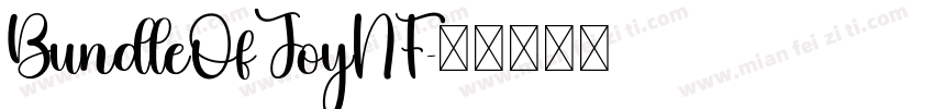 BundleOfJoyNF字体转换