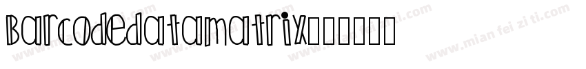 Barcodedatamatrix字体转换