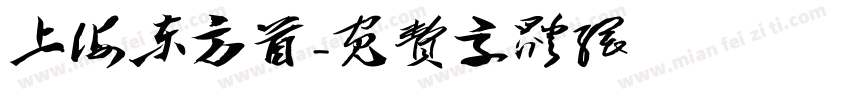 上海东方首字体转换