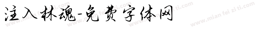 注入林魂字体转换