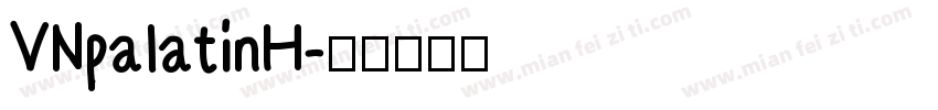 VNpalatinH字体转换