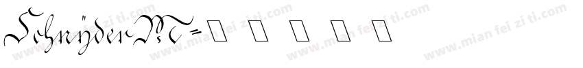 SchnyderM字体转换