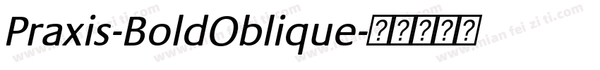 Praxis-BoldOblique字体转换