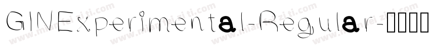 GINExperimental-Regular字体转换