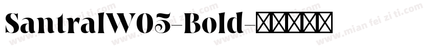 SantralW05-Bold字体转换