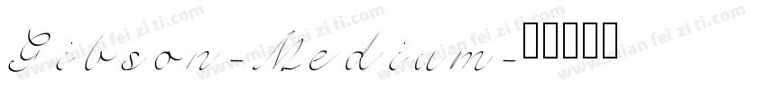 Gibson-Medium字体转换