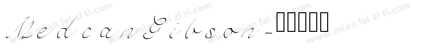 MedcanGibson字体转换