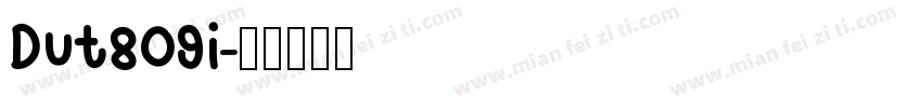 Dut809i字体转换