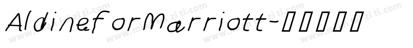 AldineforMarriott字体转换