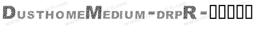 DusthomeMedium-drpR字体转换