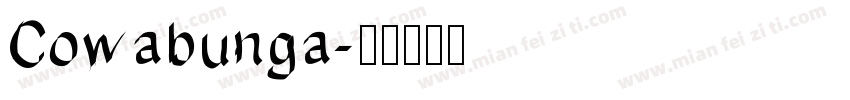 Cowabunga字体转换
