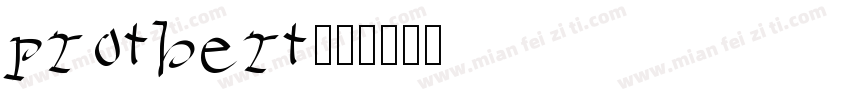 protbert字体转换
