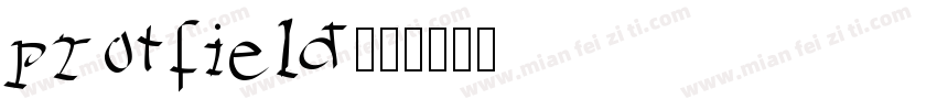 protfield字体转换
