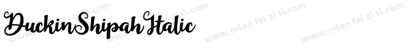 DuckinShipahItalic字体转换