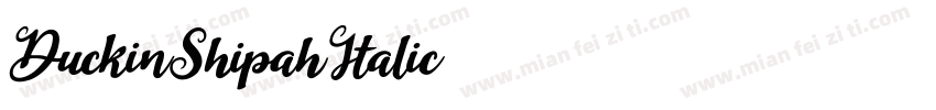 DuckinShipahItalic字体转换
