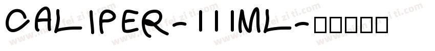 CALIPER-111ML字体转换
